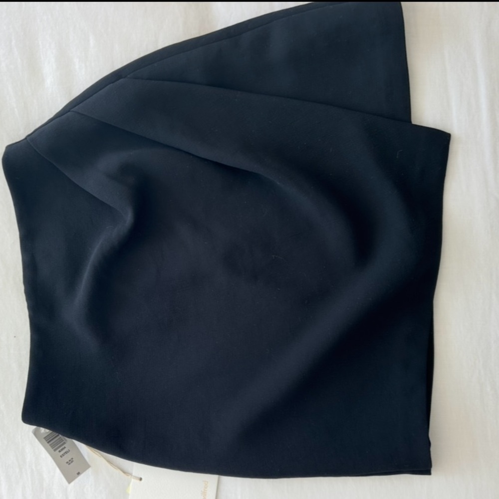 Aritzia black skirt